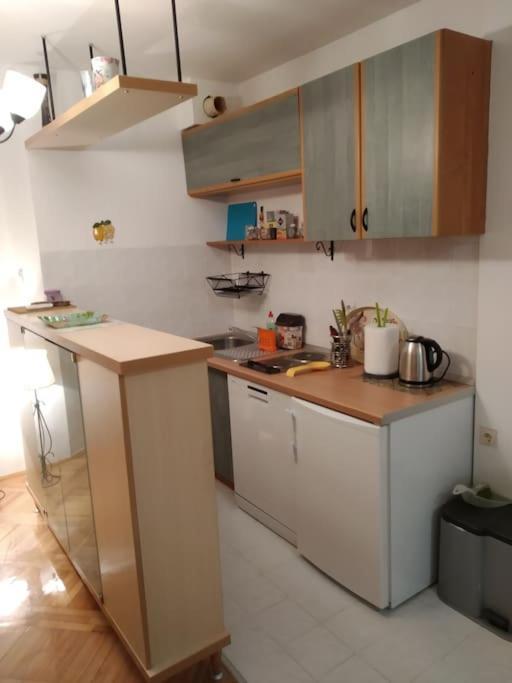 Alex Apartment Zemun Bagian luar foto