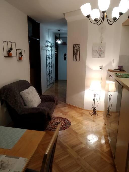 Alex Apartment Zemun Bagian luar foto